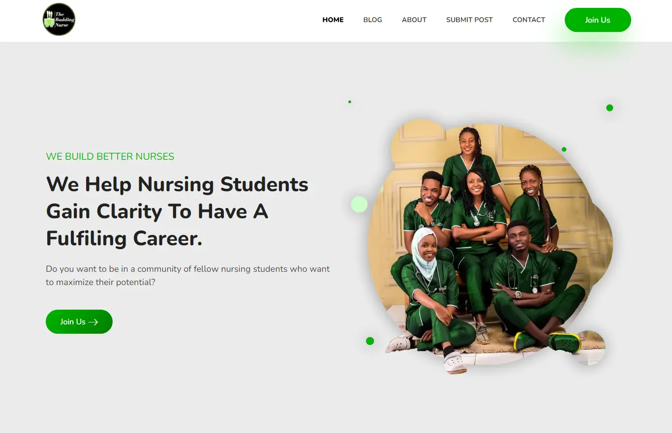 buddingnurses Hero- Gentry Stack Portfolio